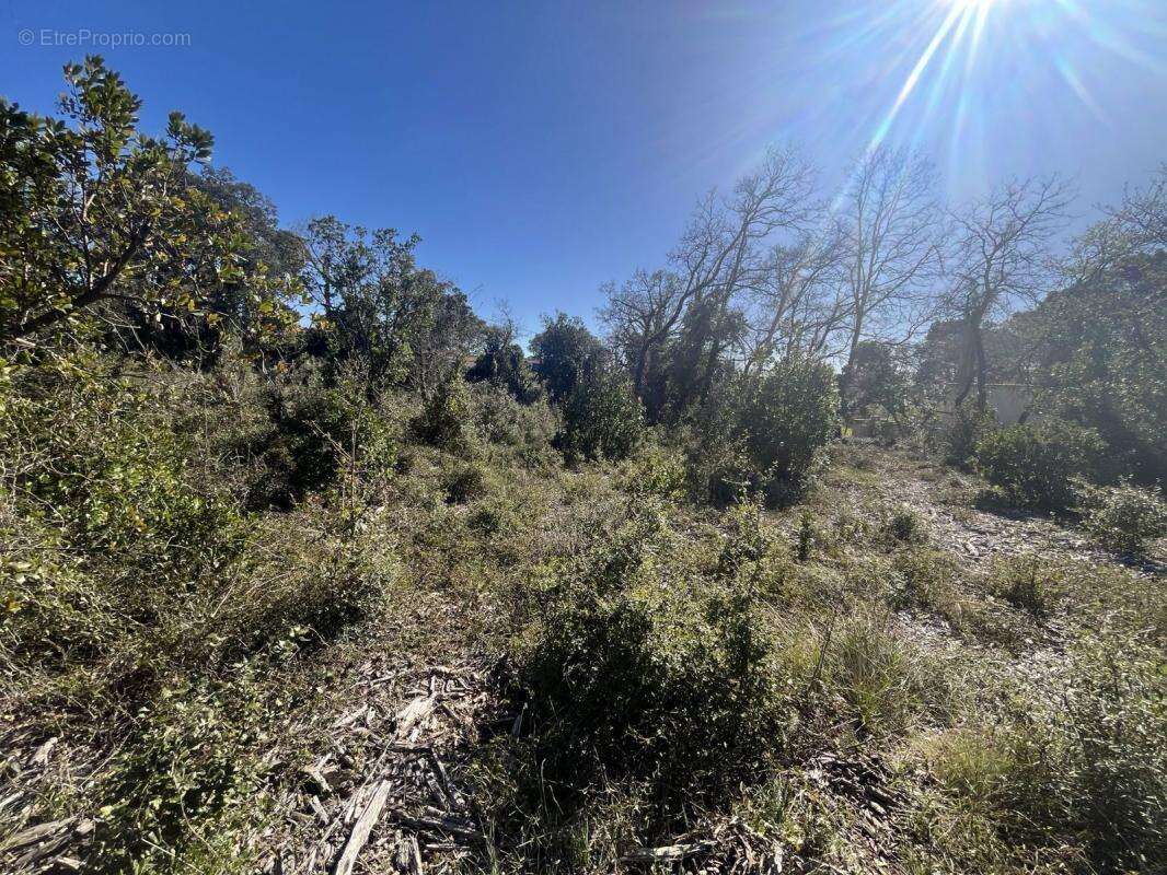 Terrain à AIGALIERS