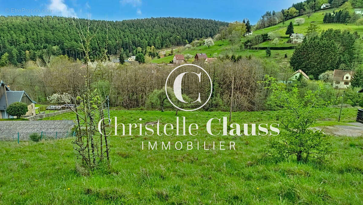 Terrain à WANGENBOURG-ENGENTHAL