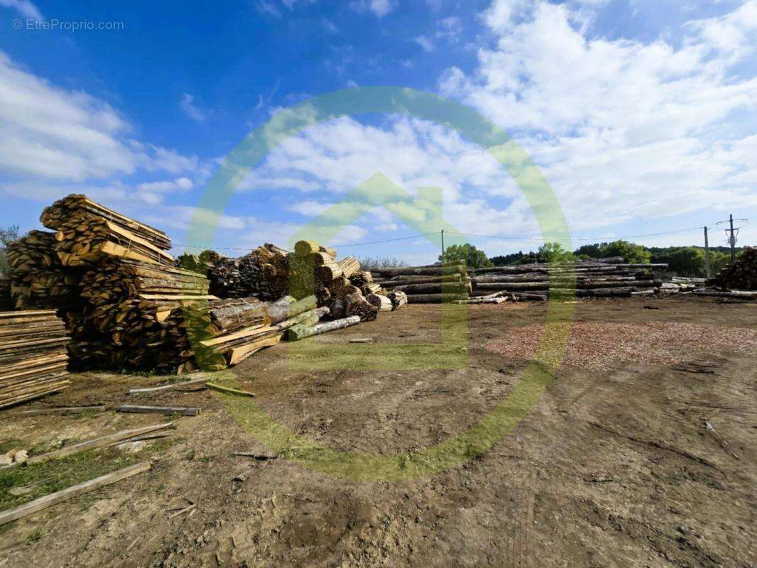 Commerce à CELLES-SUR-BELLE