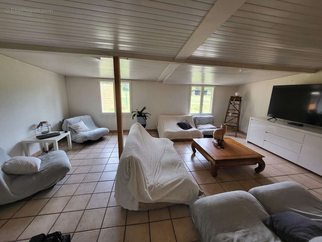 Maison à vendre 5 pièces principales + dépendances et piscine - brach - photo 3