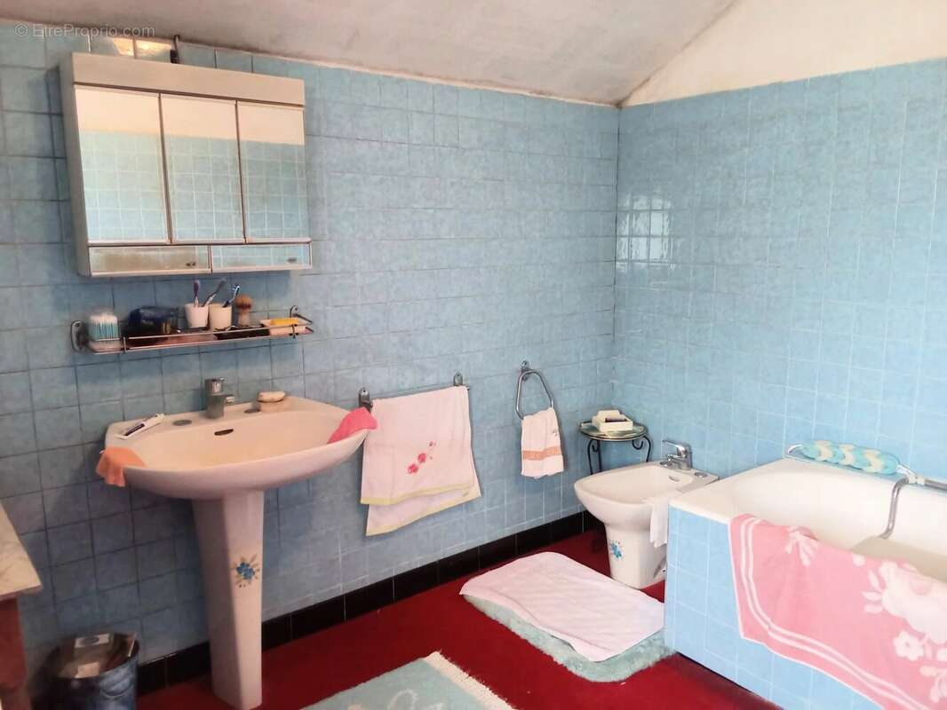 Maison à PAIZAY-NAUDOUIN-EMBOURIE