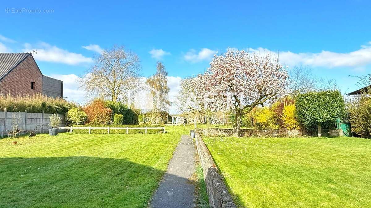 Photo 3 - Maison à MERIGNIES