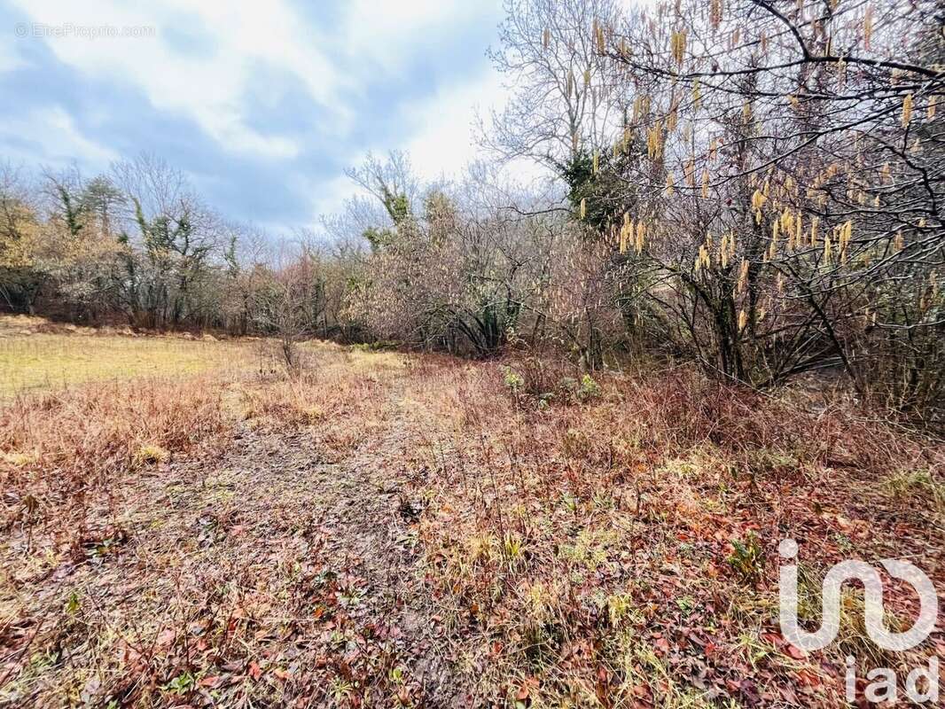 Photo 6 - Terrain à CIPIERES