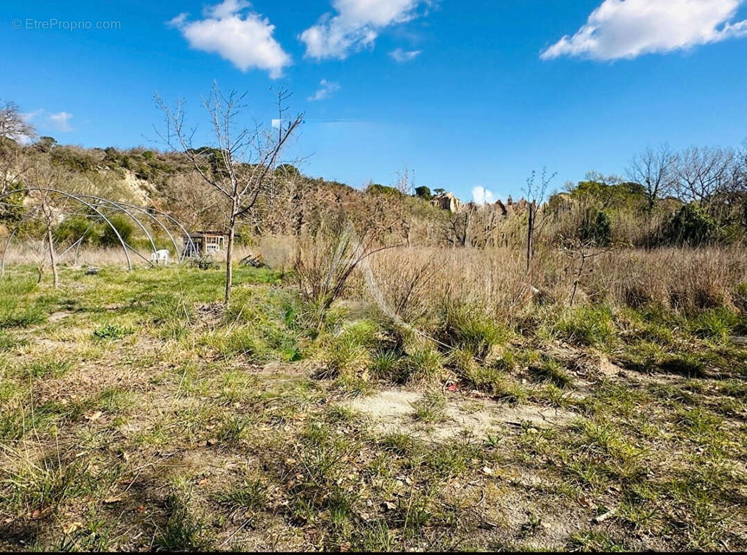 Terrain à ILLE-SUR-TET