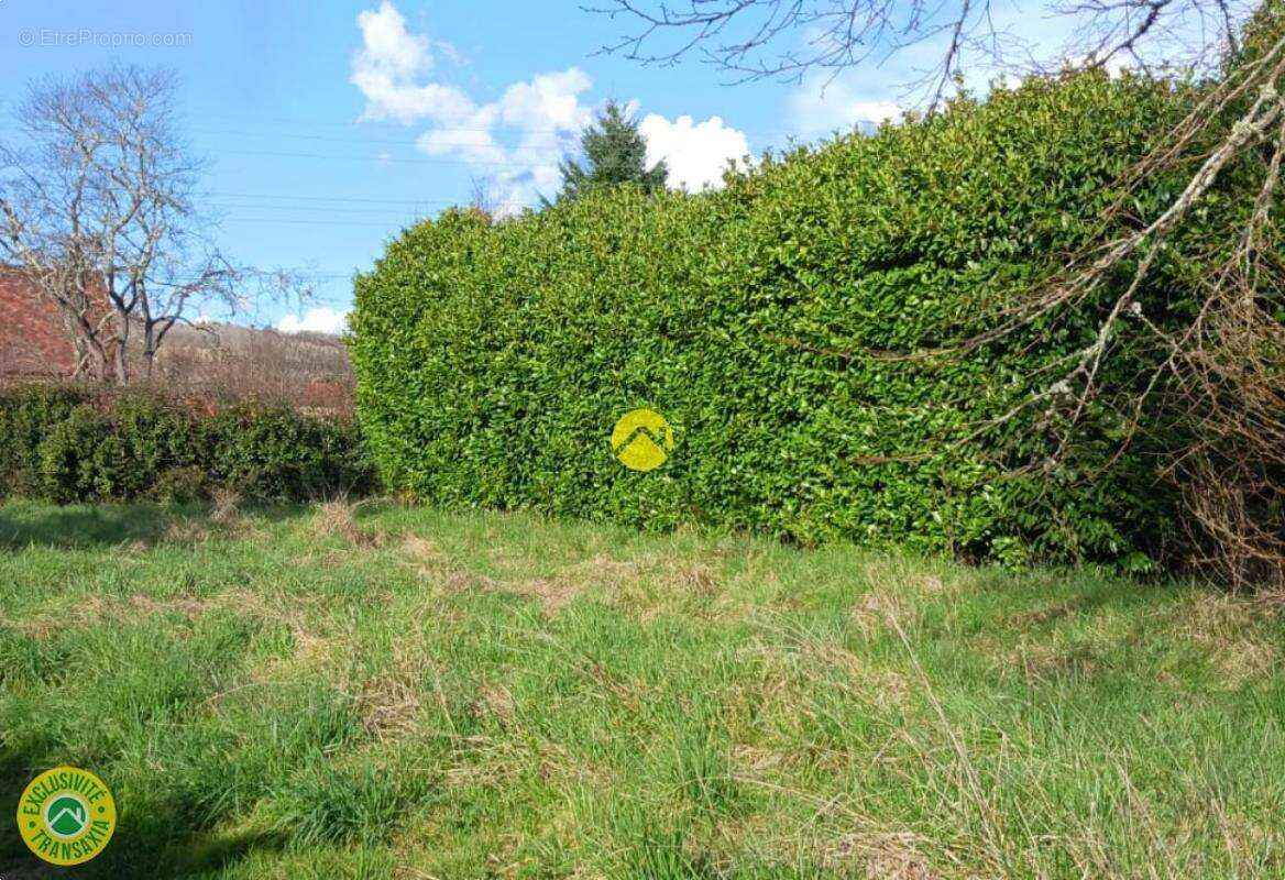 Terrain à LE BUISSON-DE-CADOUIN