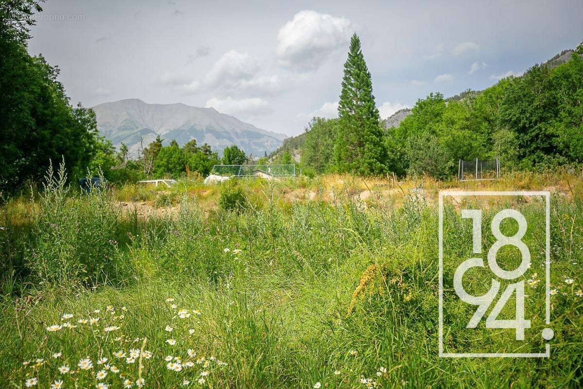 Terrain À Vendre Uvernet-Fours 04 (04400)  1570 m²  - photo 4