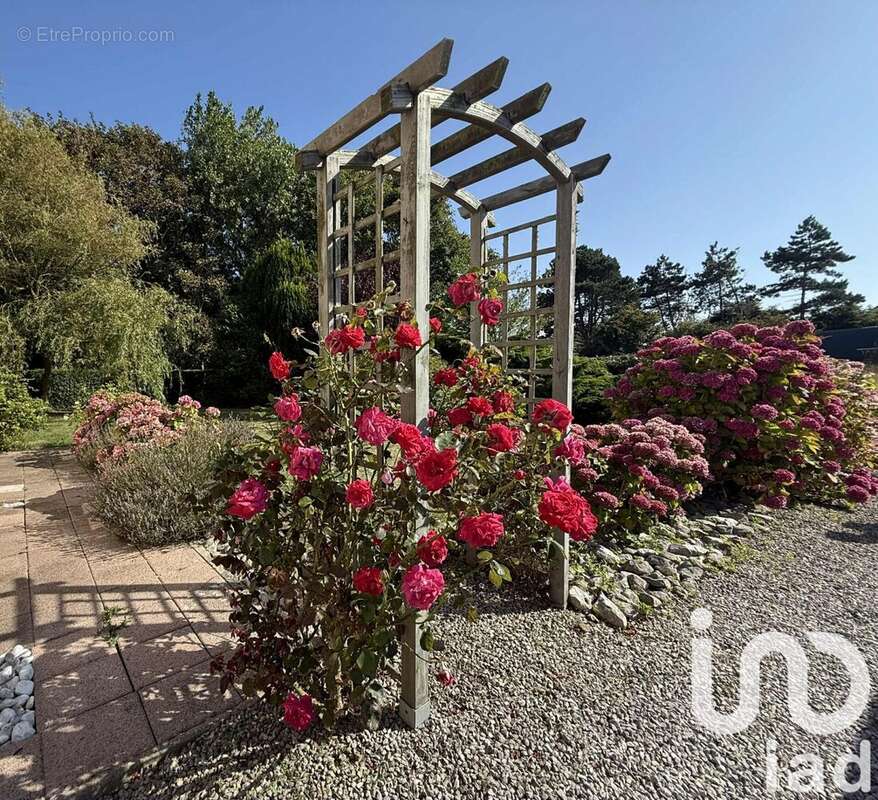 Photo 4 - Maison à AUDINGHEN