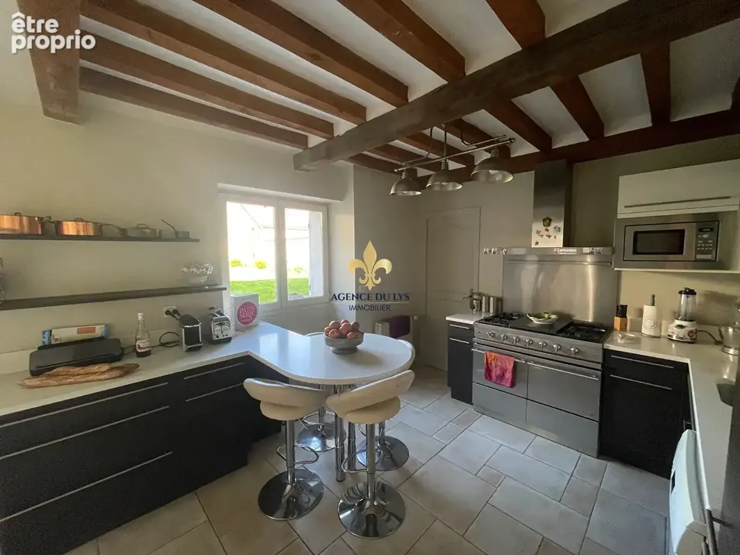 Maison  Precy Sur Oise 9 pièce(s) 246 m2 +  Dépendance 75 m² - photo 7