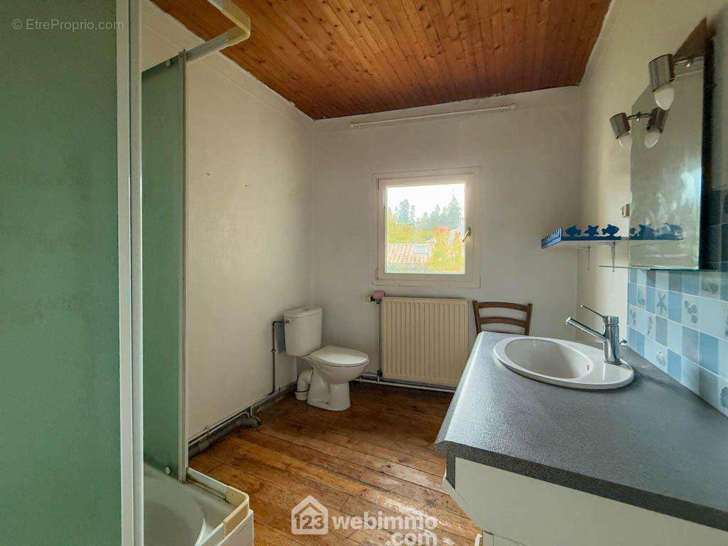 La salle d'eau avec WC - Maison à POUZAUGES