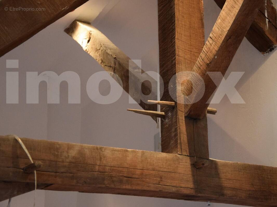 Brochard sélection photos pour pub (11) - Maison à SAINT-MARS-LA-JAILLE