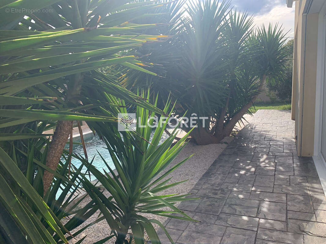 Maison à SAINT-JEAN-LASSEILLE