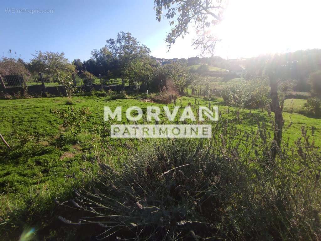 Maison à SAINT-PEREUSE