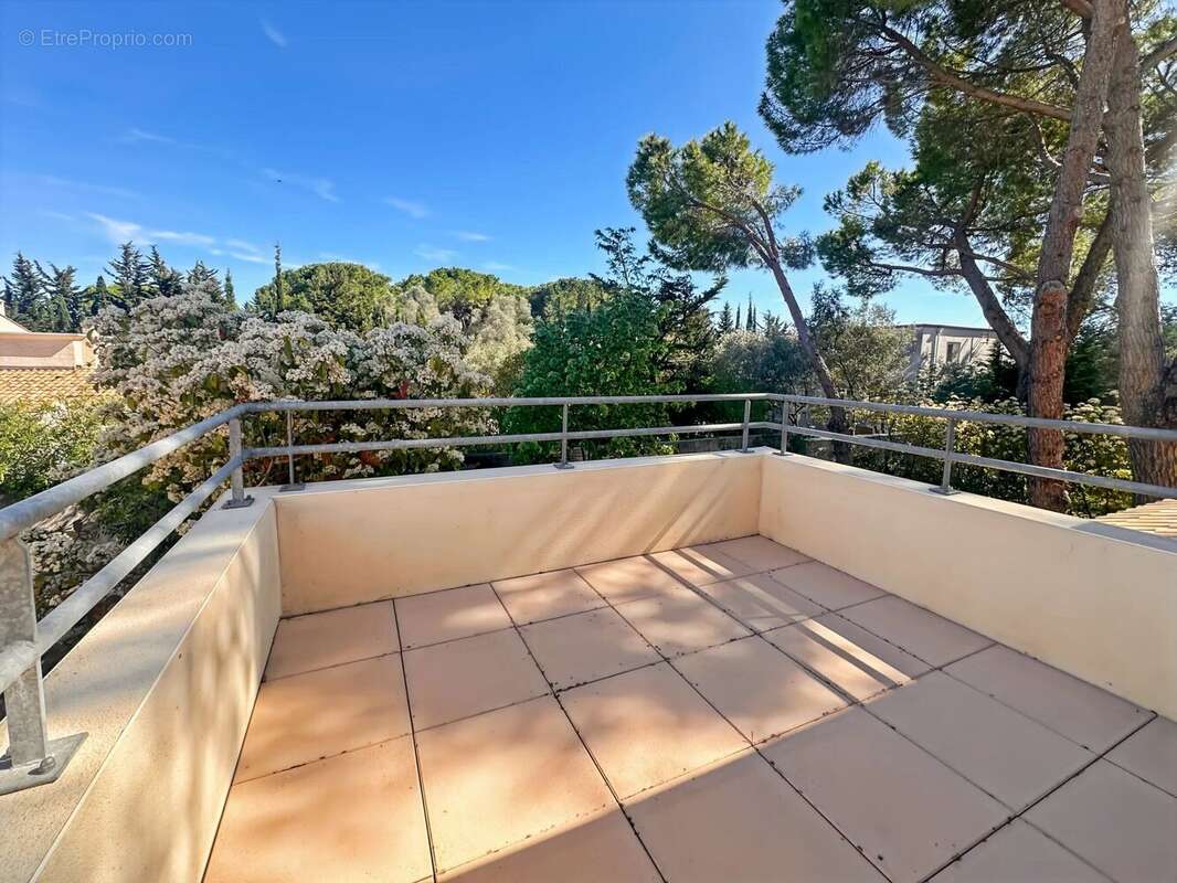 Maison à MONTPELLIER