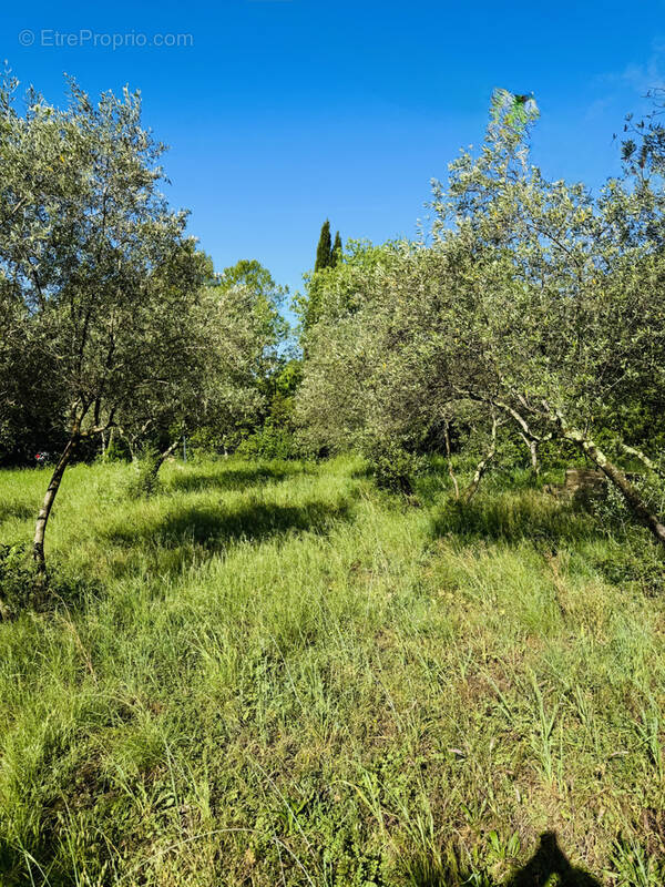 Terrain à SAINT-HIPPOLYTE-DU-FORT