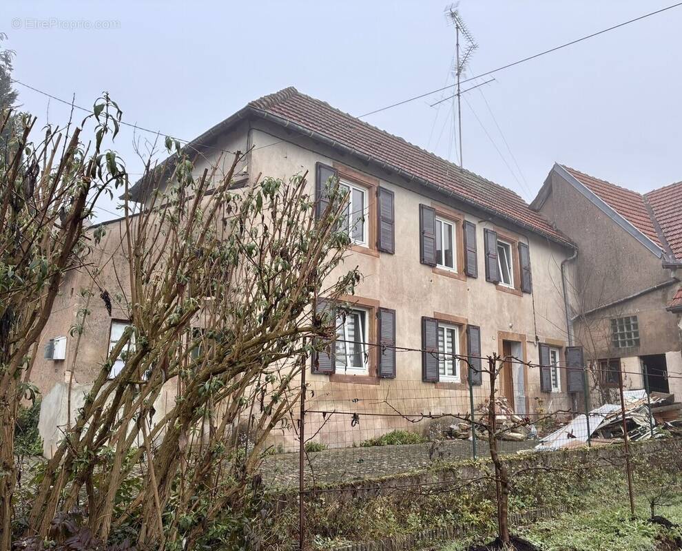 Maison à BINING