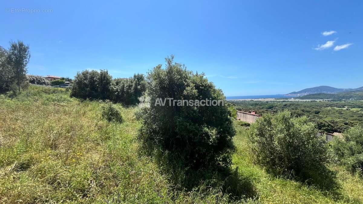 Terrain à BASTELICACCIA