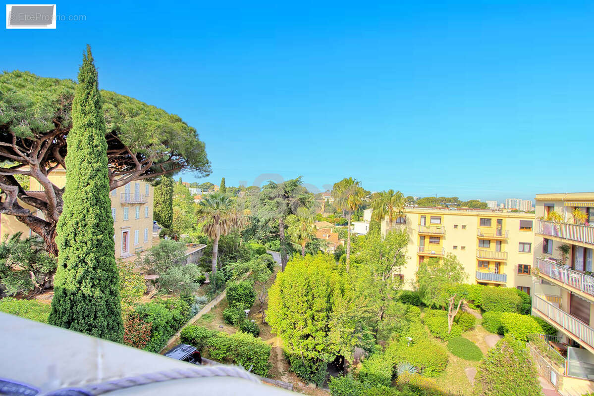 TOULON SUD - PETIT BOIS / CAP BRUN - T3 rénové de 72m2 avec terrasse et possiblité garage - photo 2