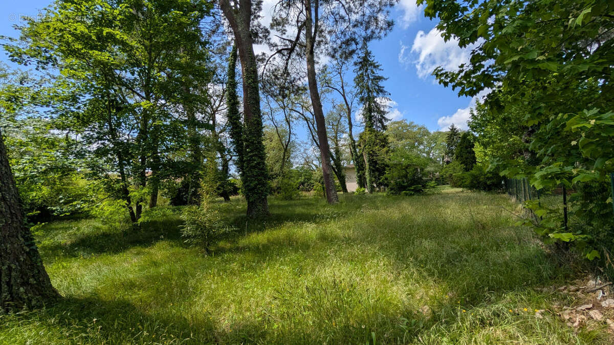 Terrain à MONT-DE-MARSAN