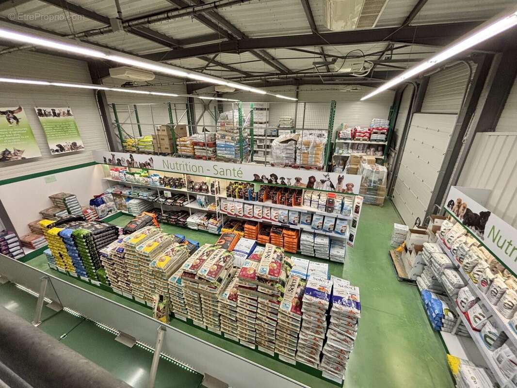 Commerce 633 m² à Boissise-Le-Roi  - photo 2
