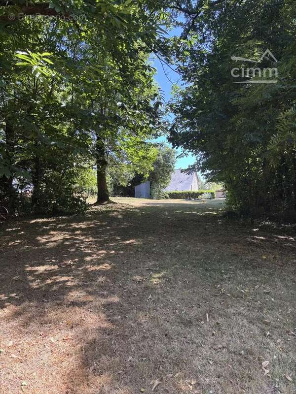 Terrain à LES BRULAIS