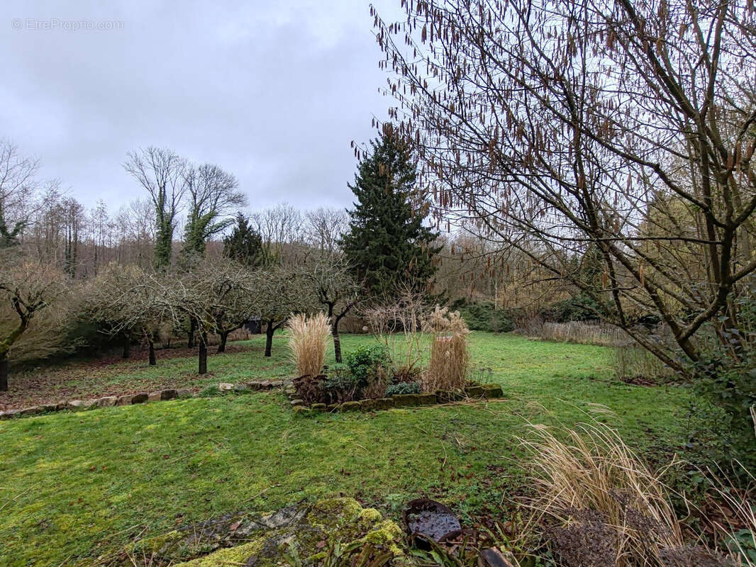 Maison à VILLERS-COTTERETS