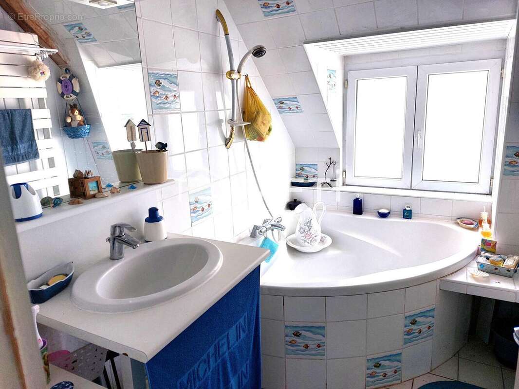 Photo 8 - Maison à MONTLOUIS-SUR-LOIRE