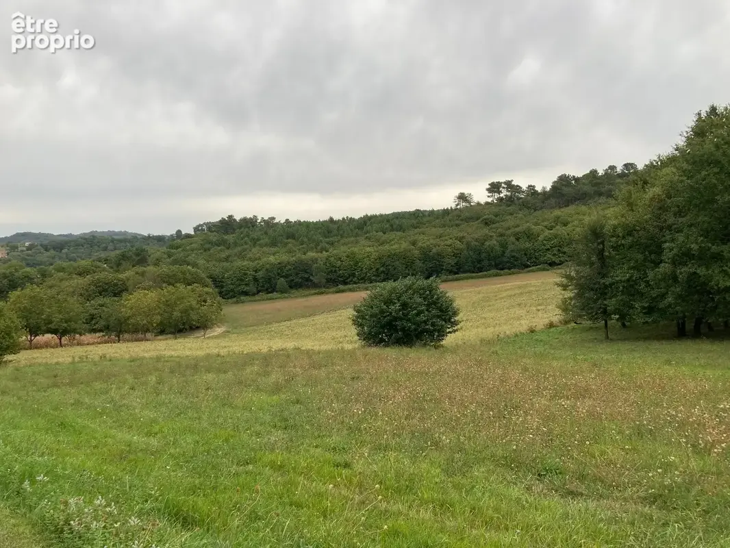 Terrain à SAINT-ANDRE-D'ALLAS