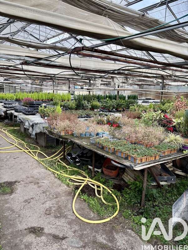 Photo 4 - Terrain à JOIGNY