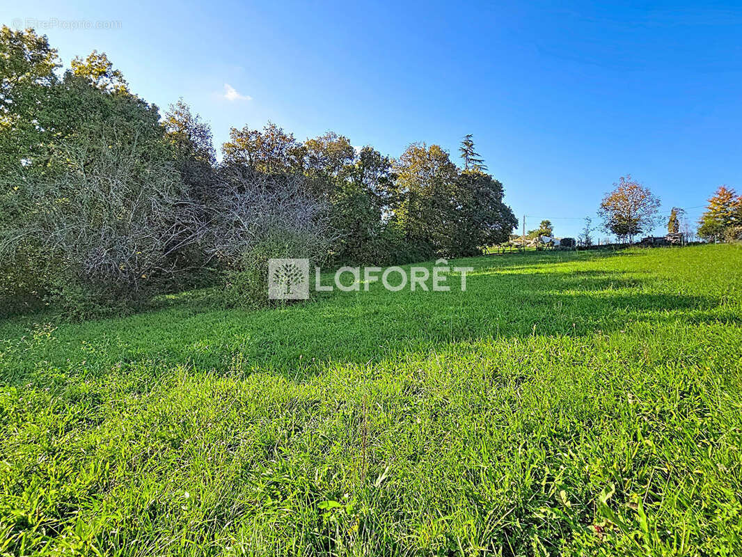 Terrain à ORTHEZ