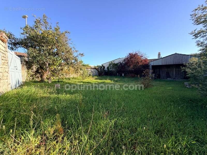 Terrain à SAINTE-MARIE-DE-RE