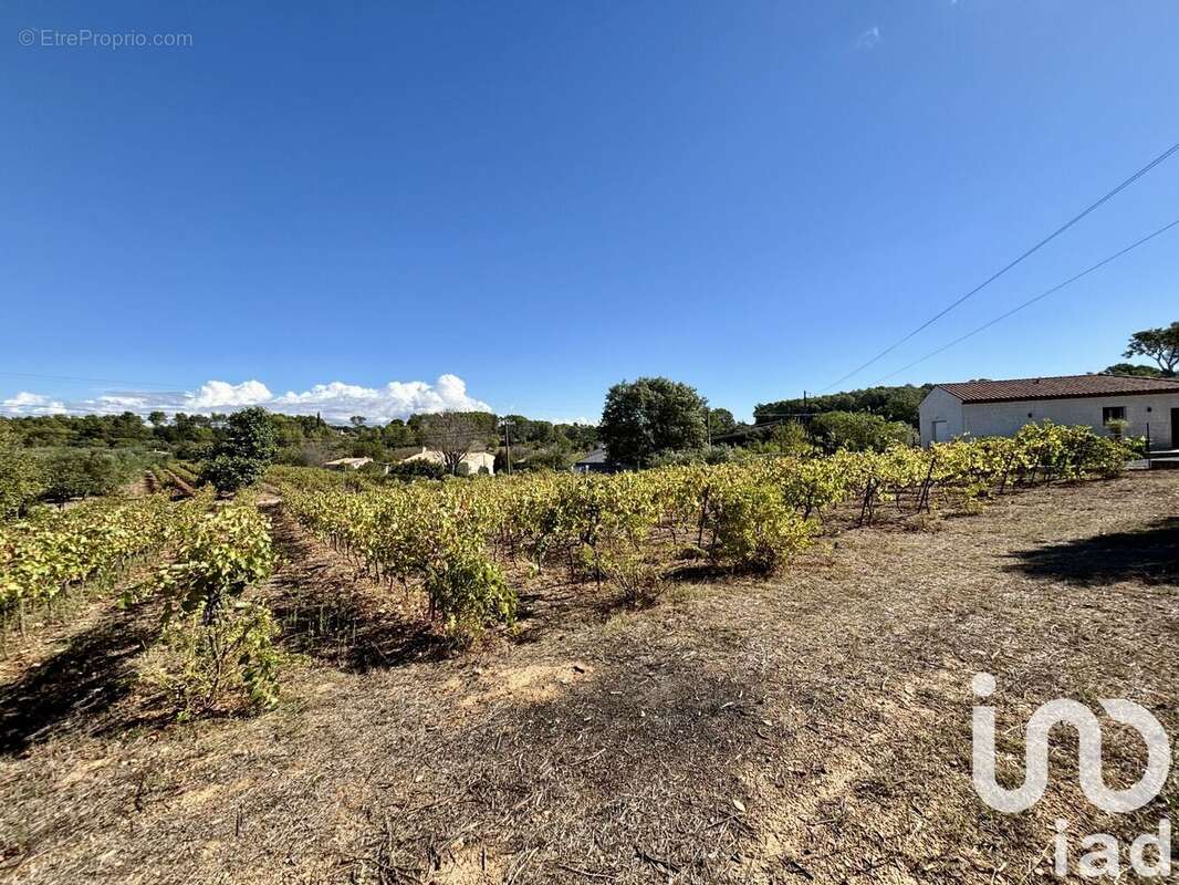 Photo 4 - Terrain à LORGUES