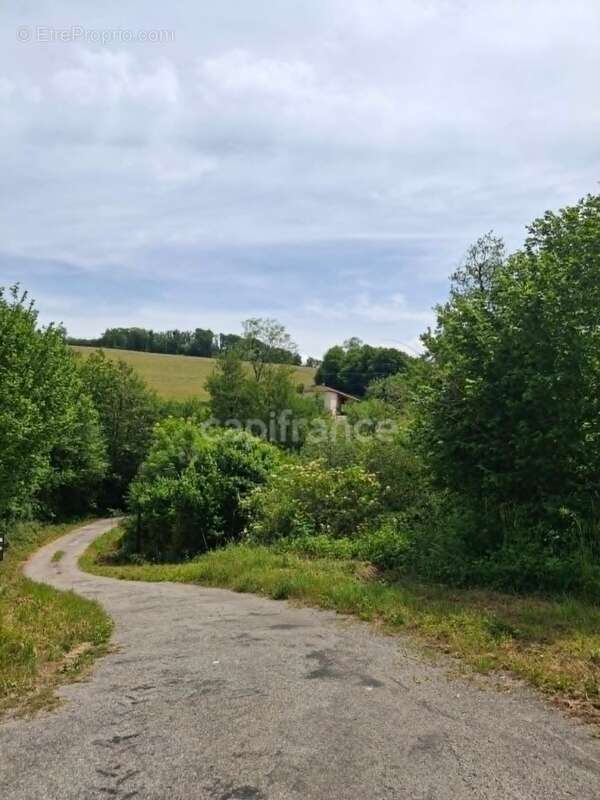 Maison à vendre 5 pièces ROYBON (38) - photo 2