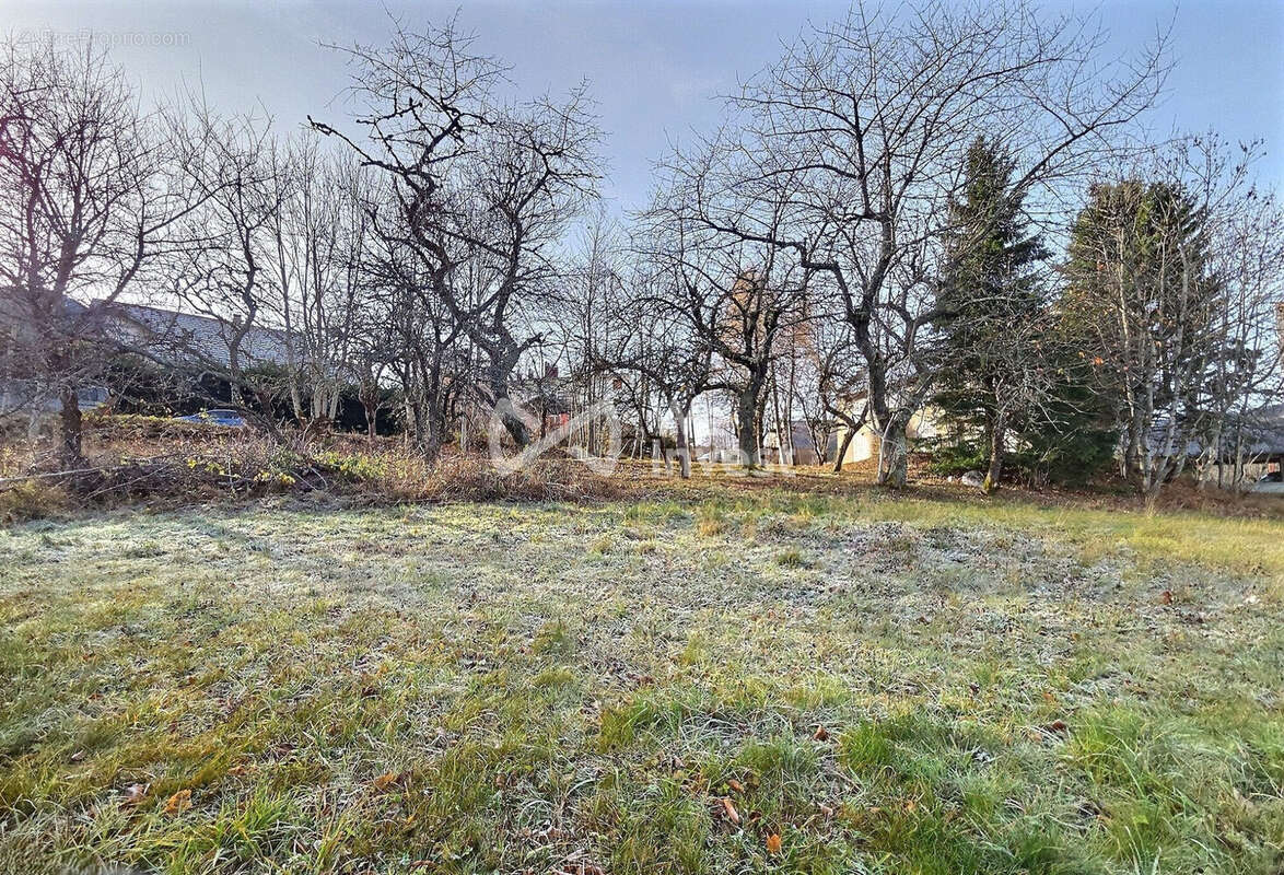 Terrain à SAINT-NIZIER-DU-MOUCHEROTTE