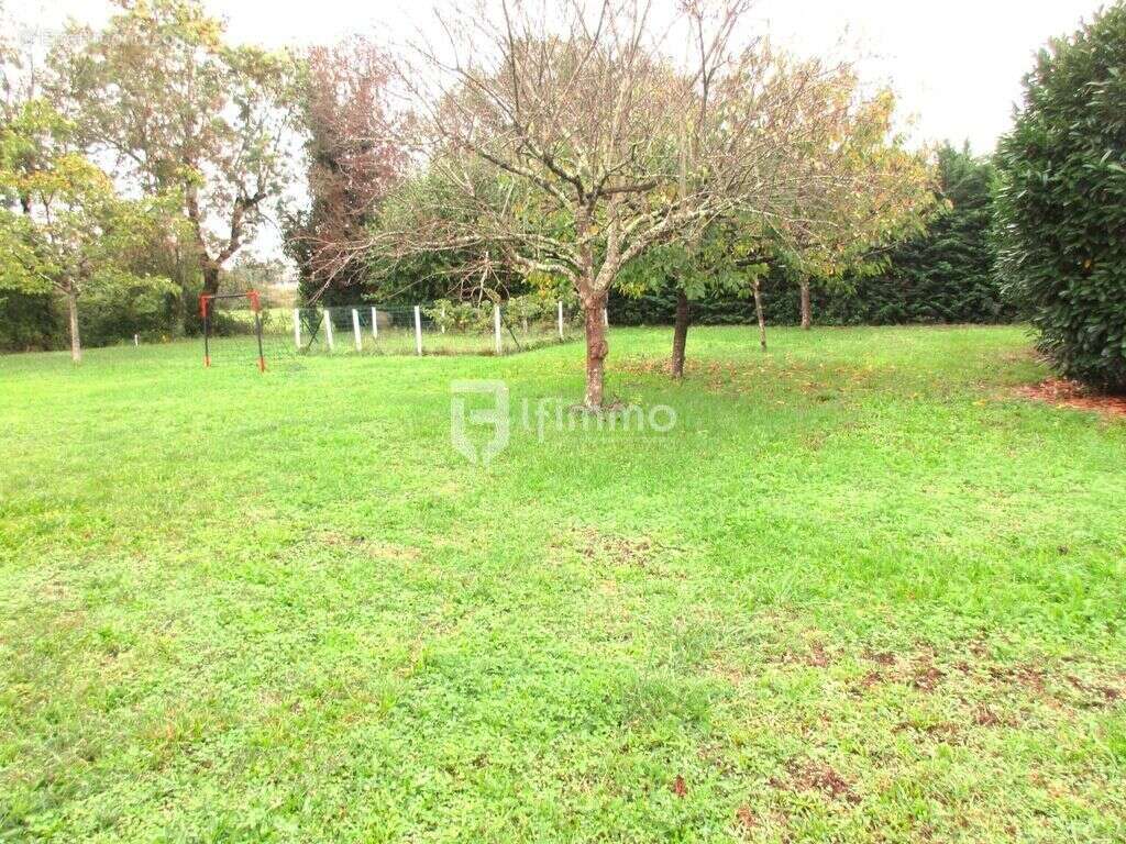 Terrain à AMBARES-ET-LAGRAVE