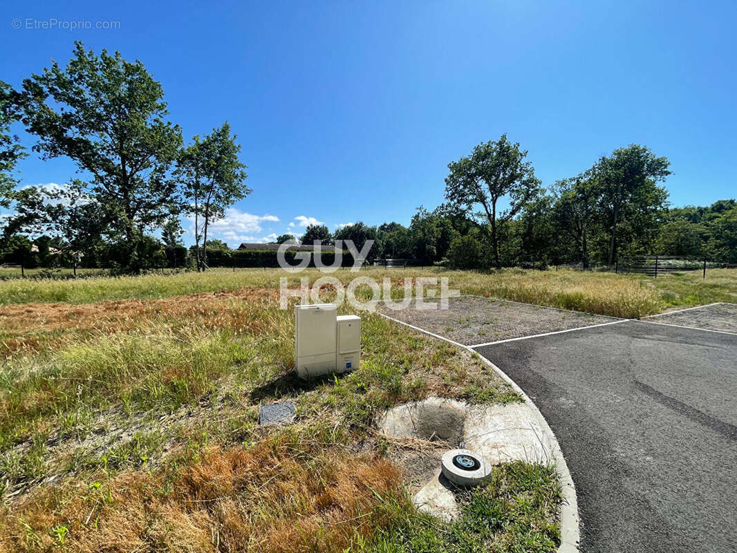Terrain à PARENTIS-EN-BORN
