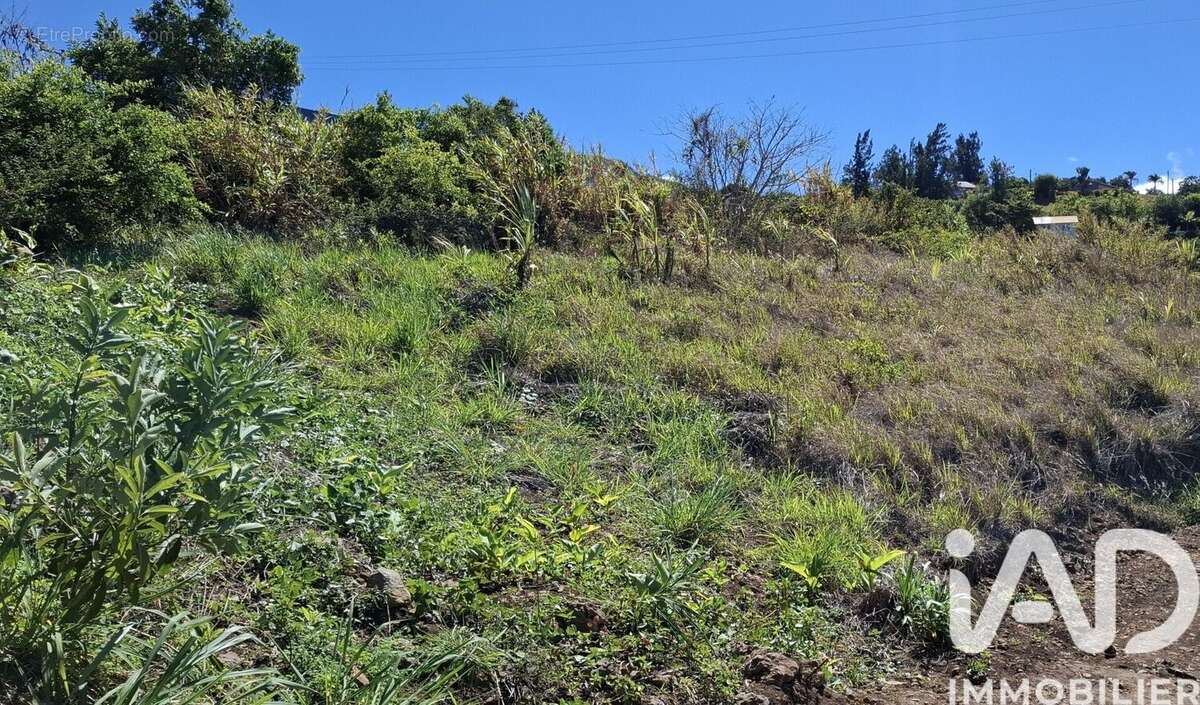 Photo 4 - Terrain à SAINT-DENIS