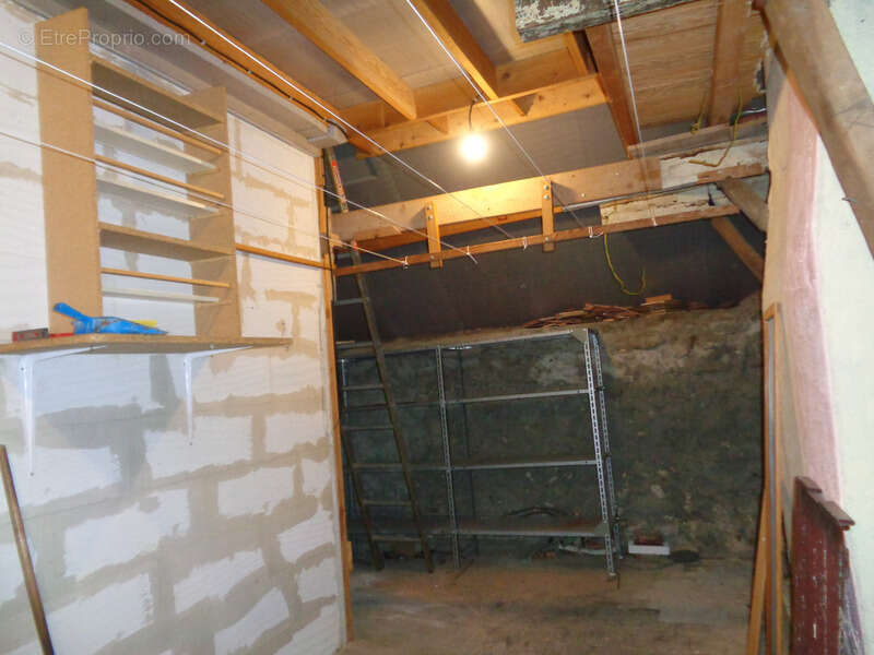 Maison à vendre 4 pièces BLENEAU (89) Maison au cœur du village de Bléneau, jardin et garage - photo 19