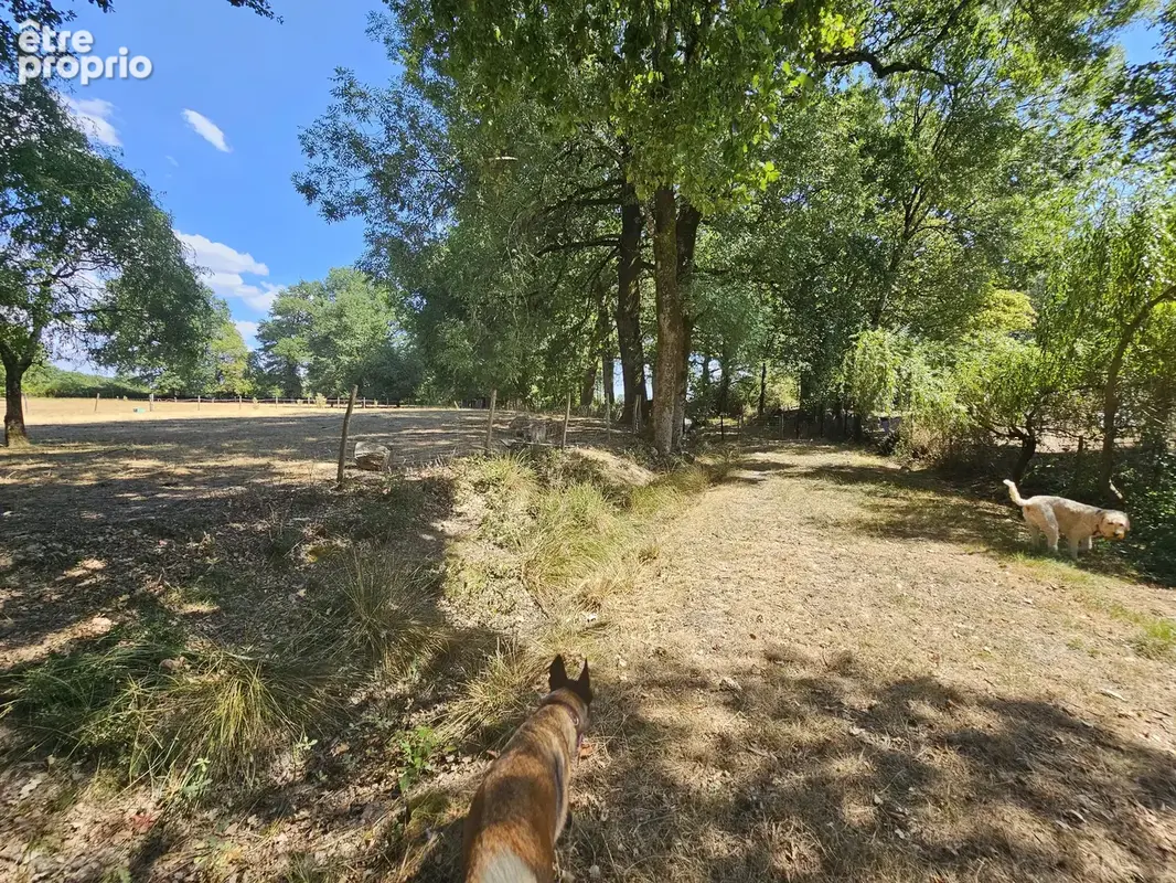 Propriété de caractère avec plus d'un hectare de terrain – Une opportunité de style de vie rare - photo 16
