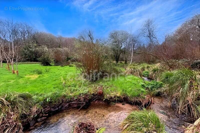 Terrain de loisirs non constructible - 7138m² de nature - Prairie, ruisseau et tranquillité absolue Quimper (29) - photo 5