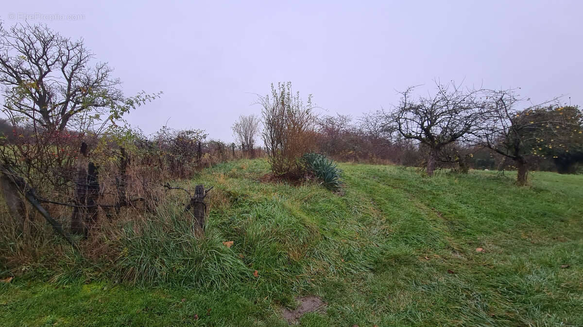 Terrain à BLENOD-LES-TOUL