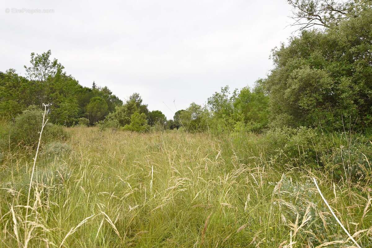 Terrain à VIC-LE-FESQ