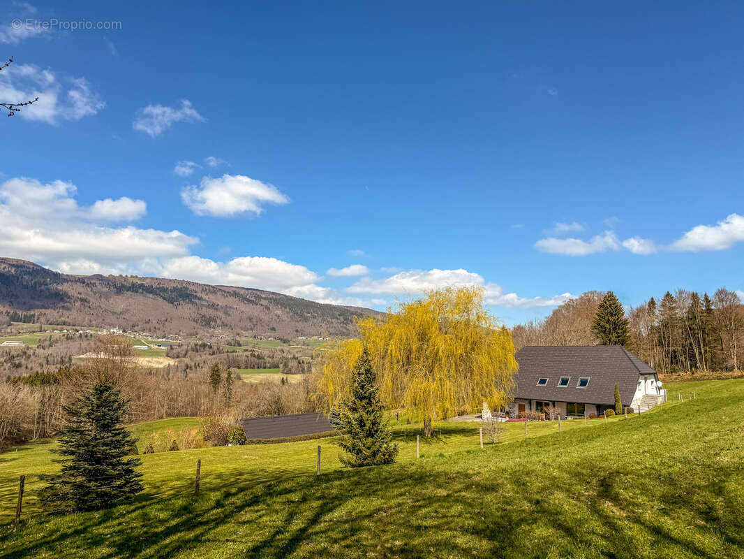 Maison à MENTHONNEX-EN-BORNES