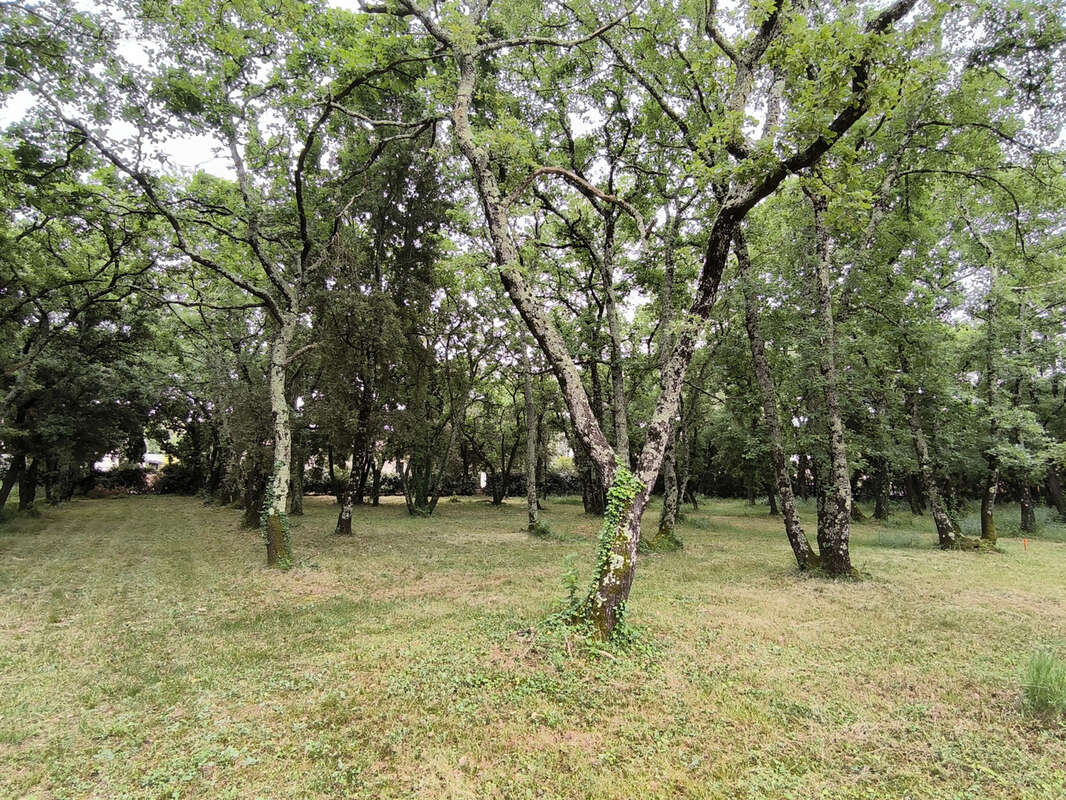 Terrain à SAINT-SIFFRET