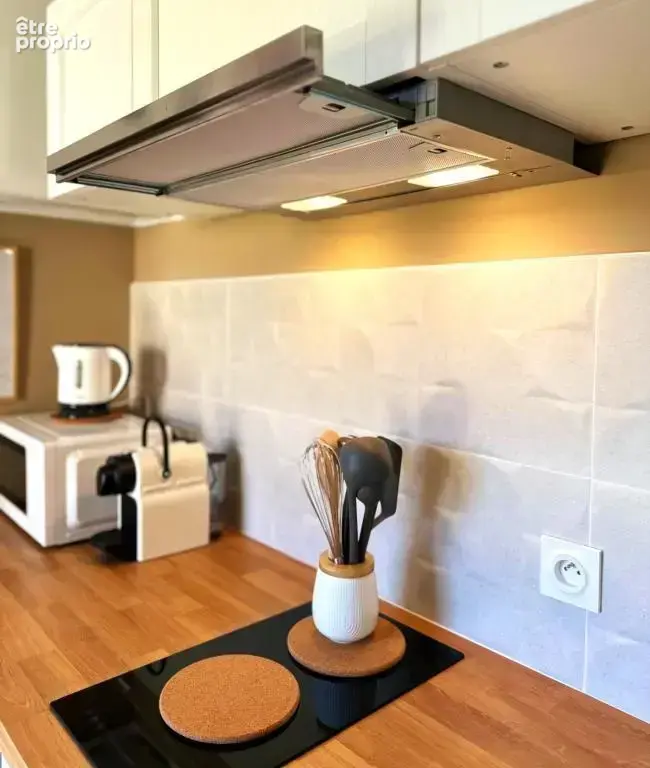 Venez découvrir cette charmante maison avec ces deux studios indépendants et sa piscine hors sol - photo 47
