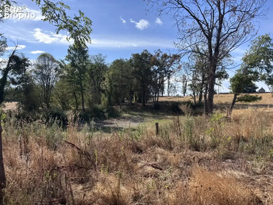Le Donjon - Ferme à rénover avec une grande grange et des dépendances, sur un terrain de plus de 3 hectares co - photo 30