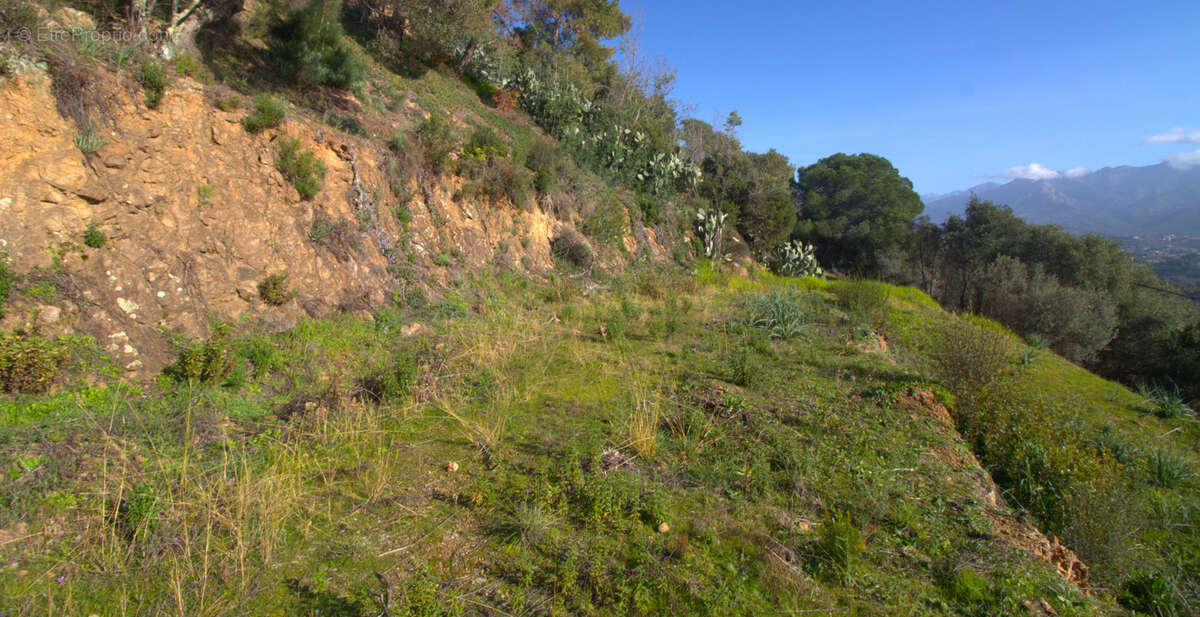 Terrain à AFA
