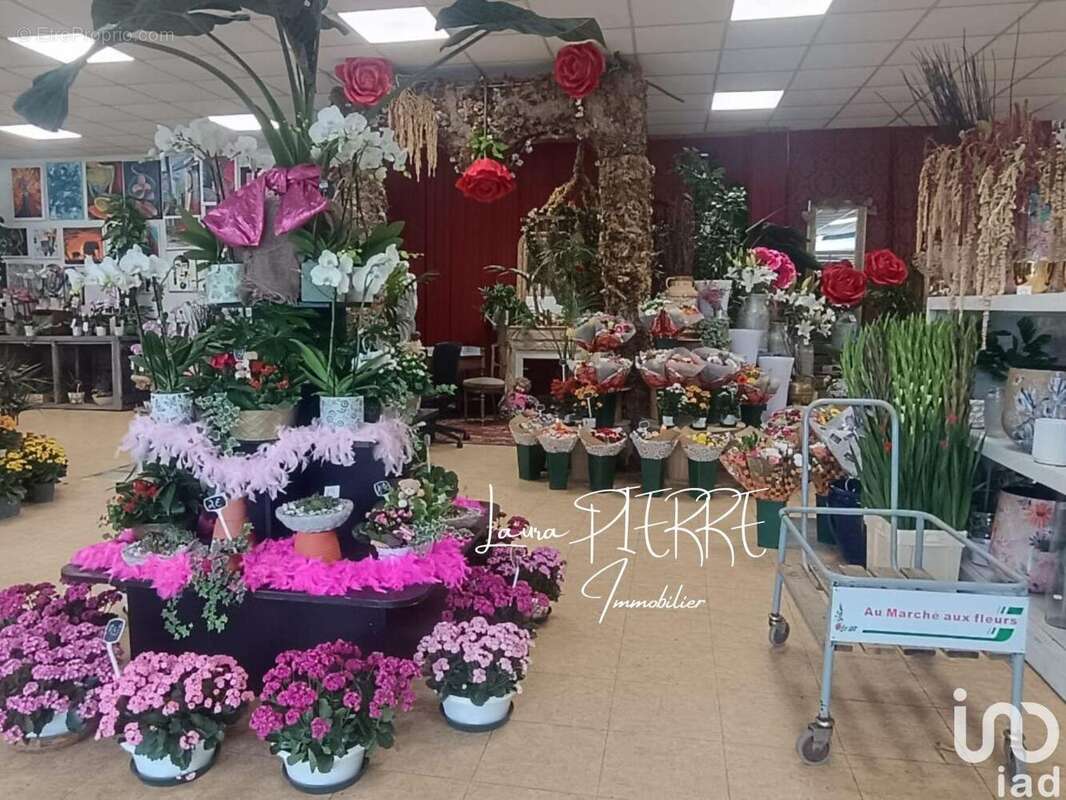 Photo 3 - Commerce à HEROUVILLE-SAINT-CLAIR