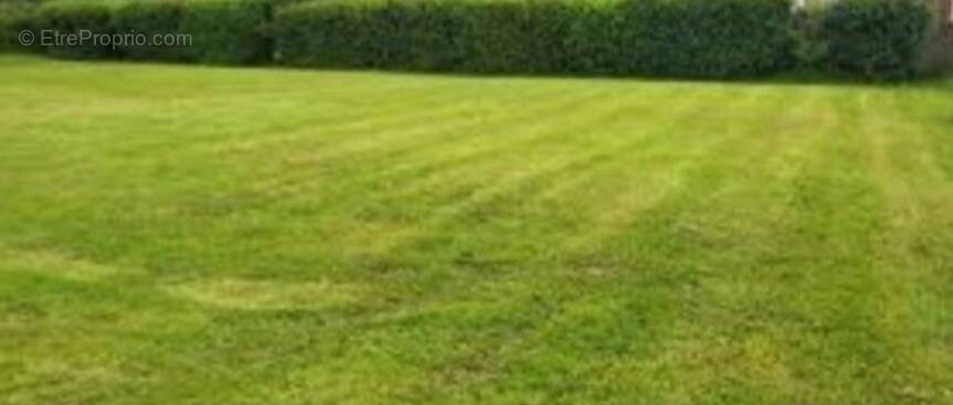 Terrain à LE THIL-RIBERPRE