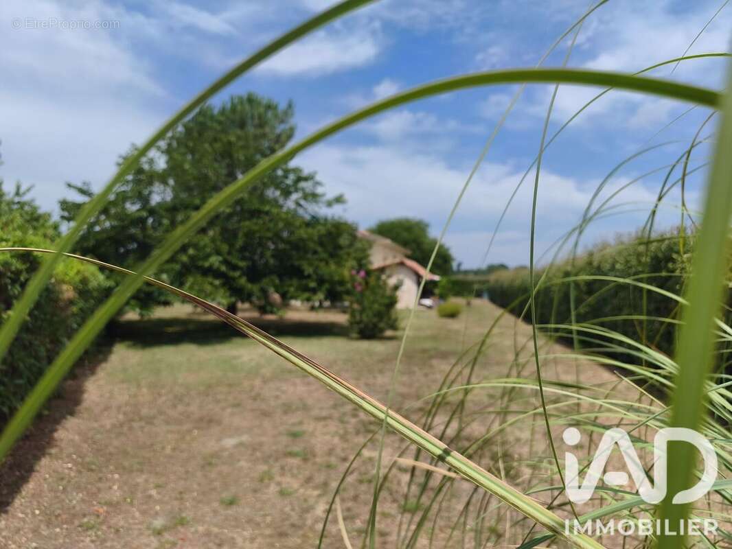 Maison 99 m² à Haut-Mauco  - photo 2
