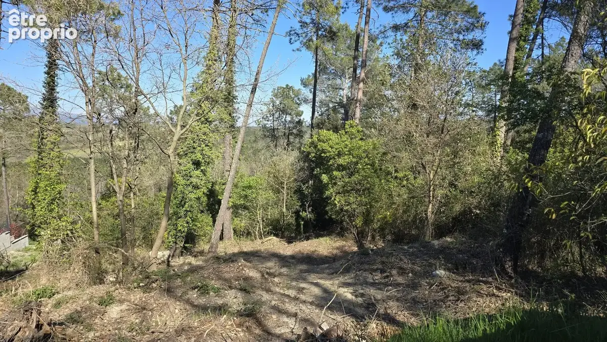 Terrain 1 300 m² à vendre à Saint-Paul-En-Foret (83440) - photo 4